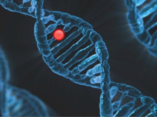 fattori genetici di rischio: prevenzione delle malattie